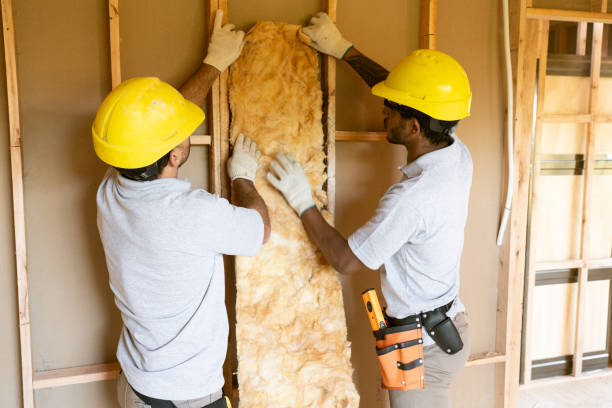 Best Insulation Contractors for Homes  in Congress, AZ